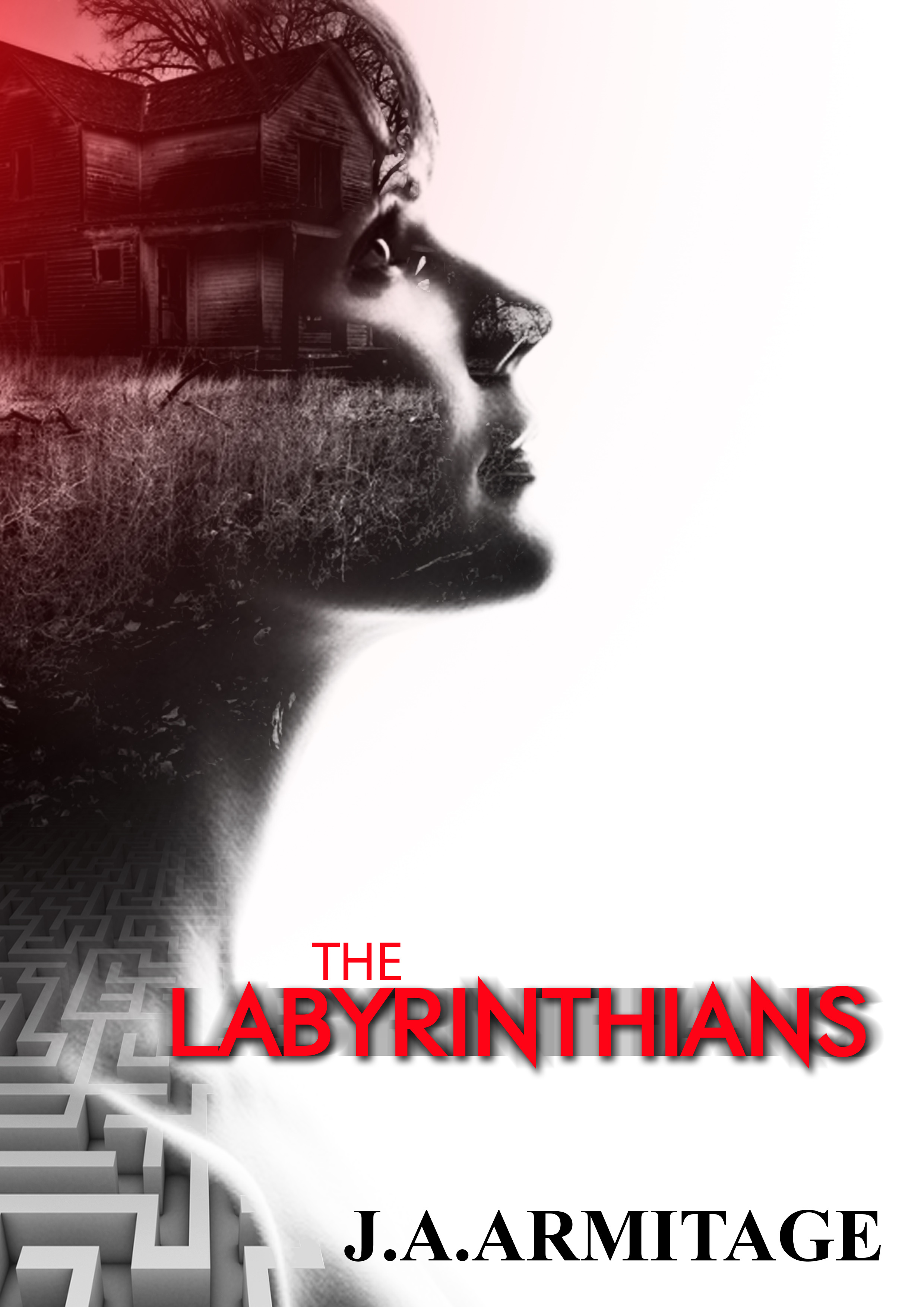 The Labyrinthians book cover