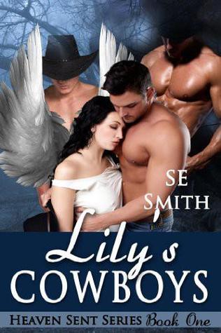 Heaven Sent book cover 1
