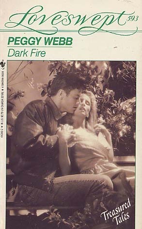 Dark Fire book cover