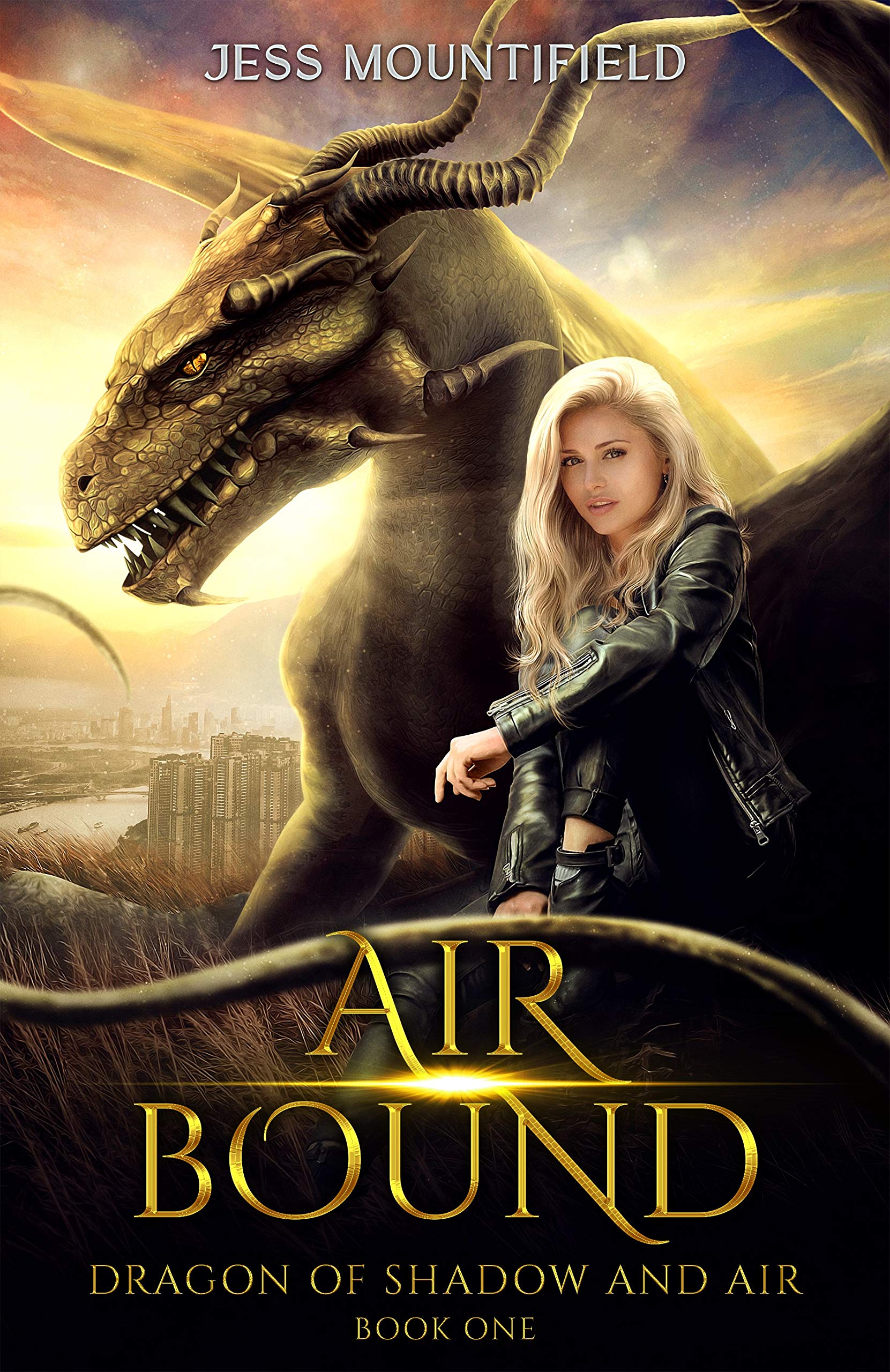 Dragon of Shadow and Air book cover 1