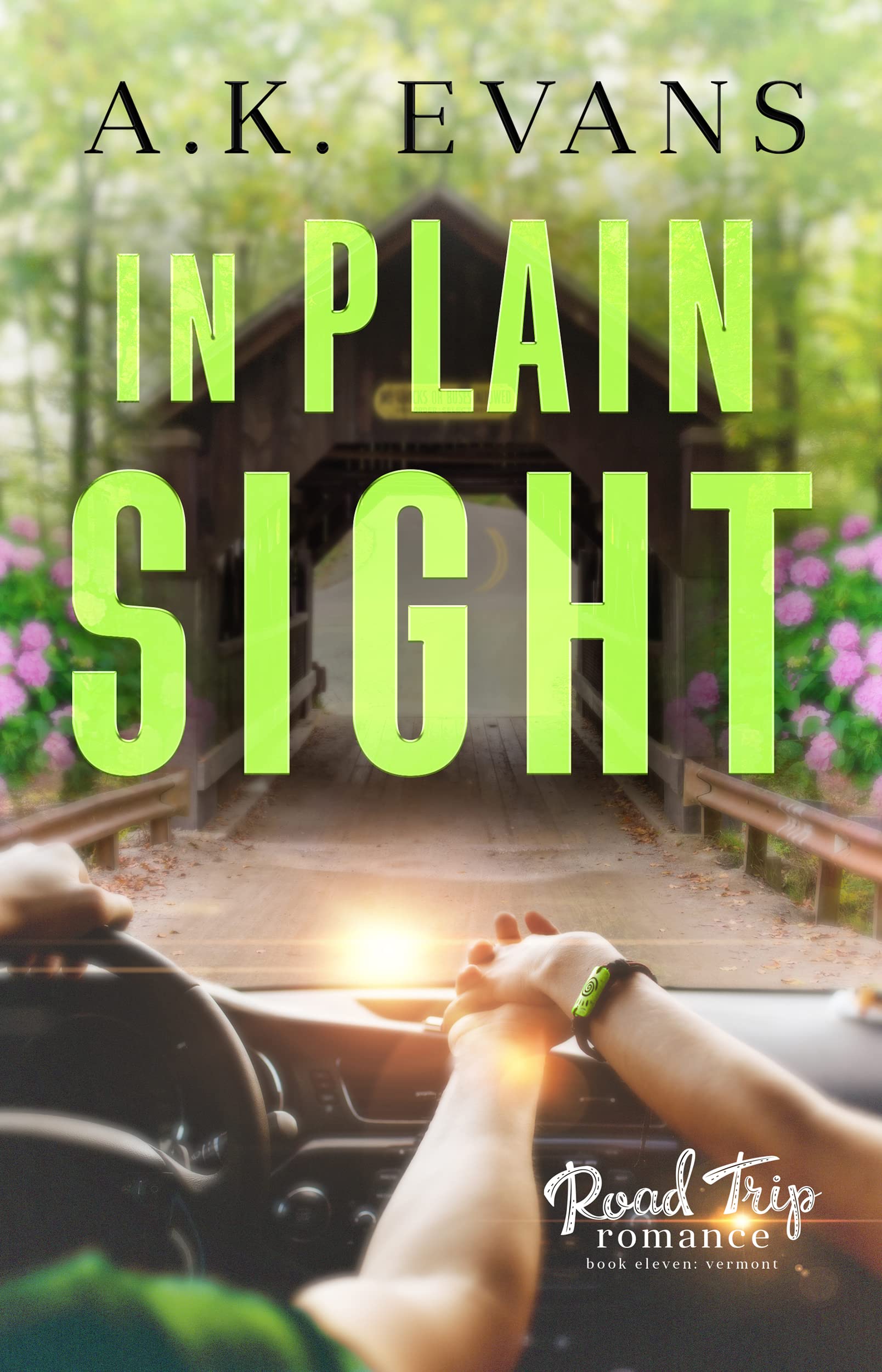 In Plain Sight book cover
