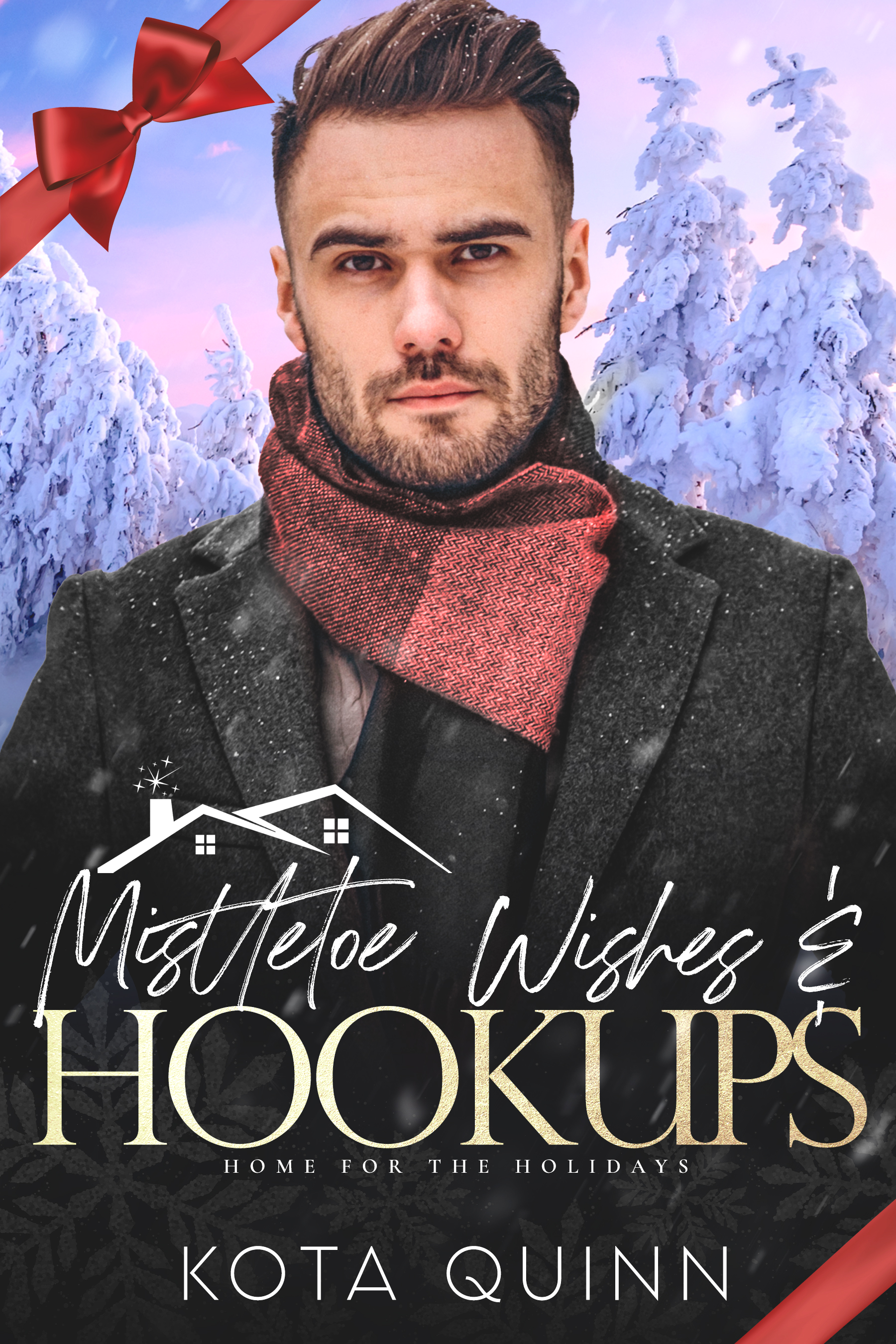 Mistletoe Wishes & Hookups book cover