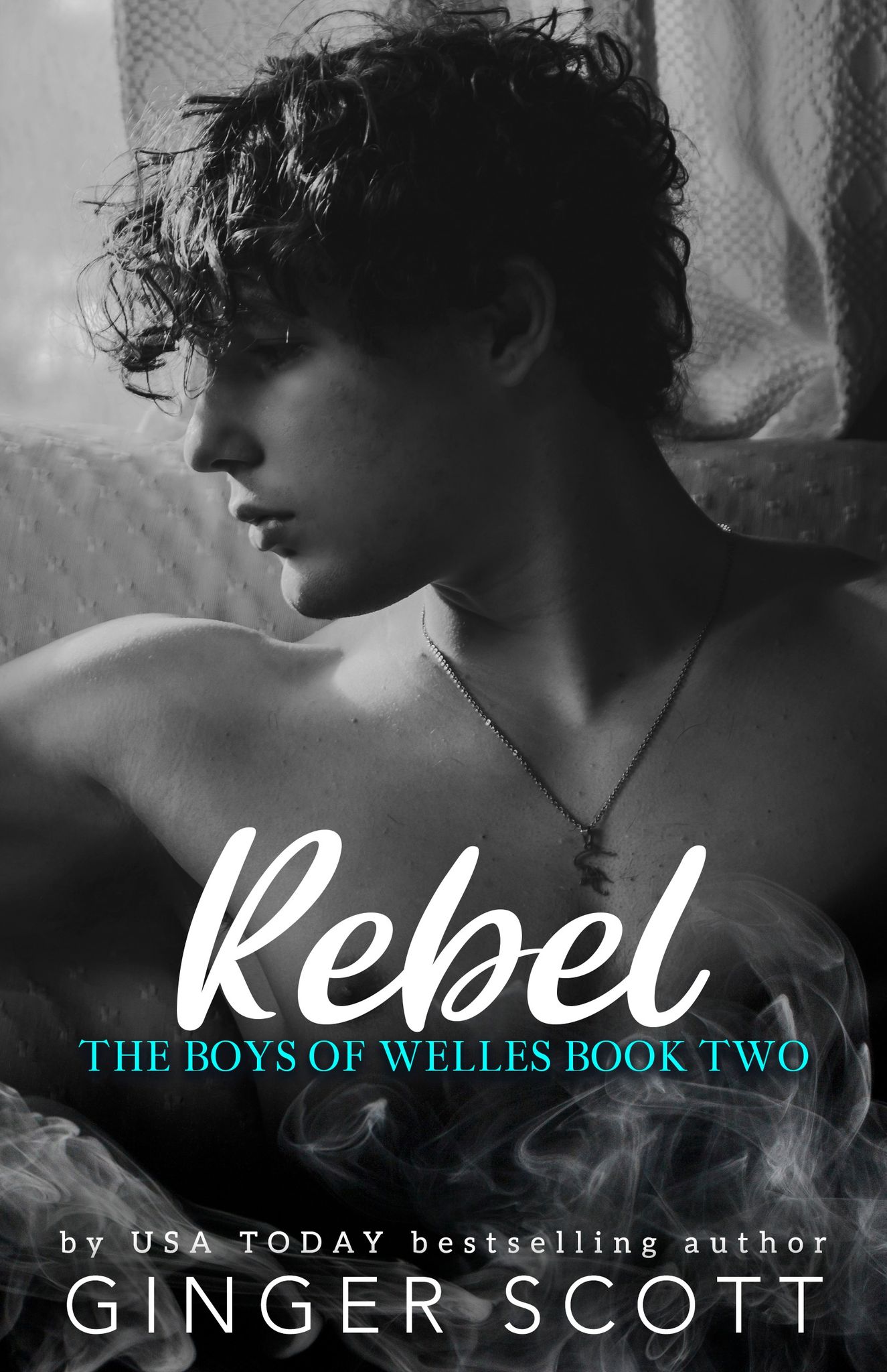 The Boys of Welles book cover 1