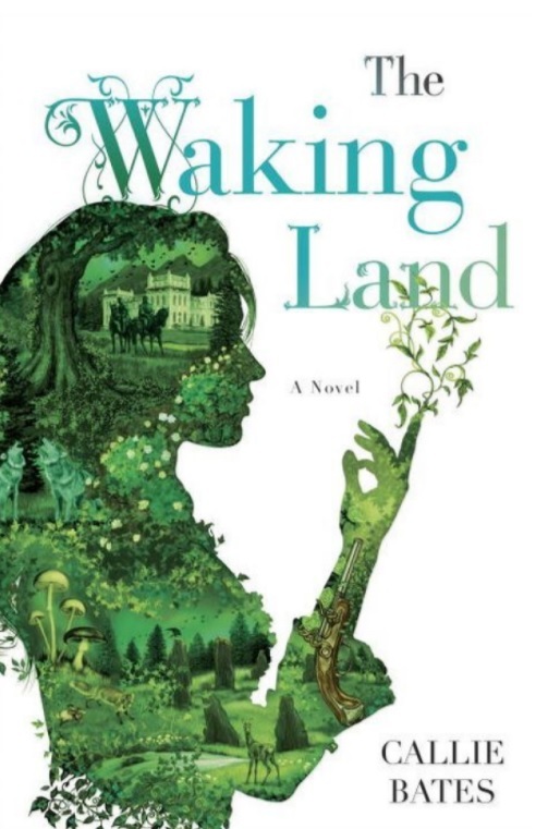 The Waking Land book cover 1