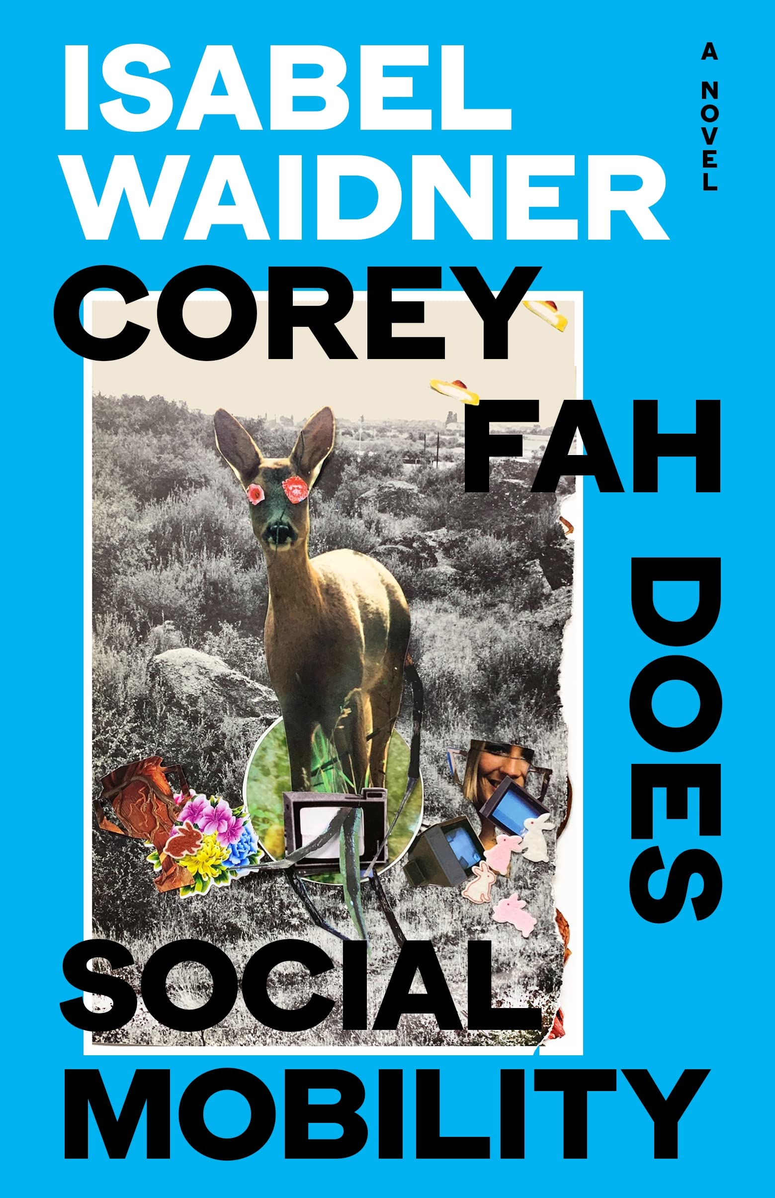 Corey Fah Does Social Mobility book cover
