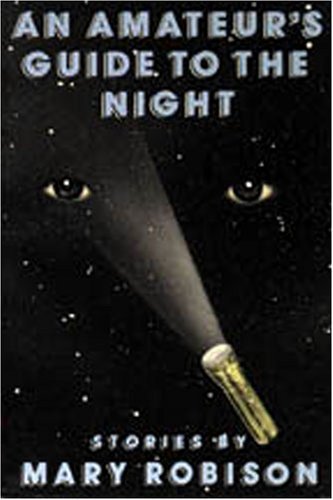 An Amateur's Guide to the Night book cover