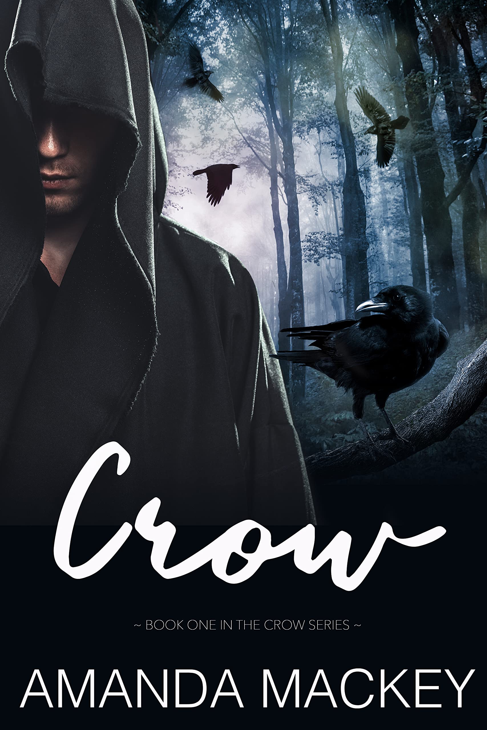 Crow book cover 1