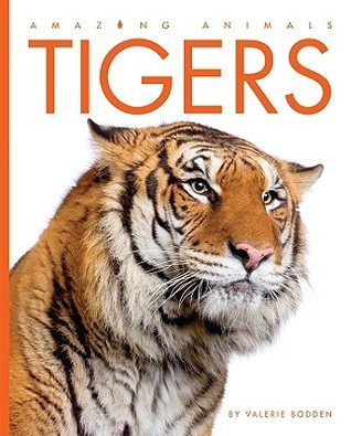 Tigers book cover