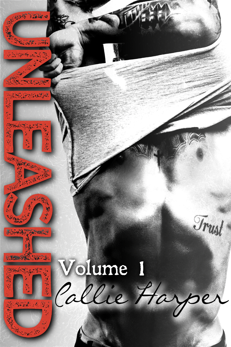 Unleashed book cover 1