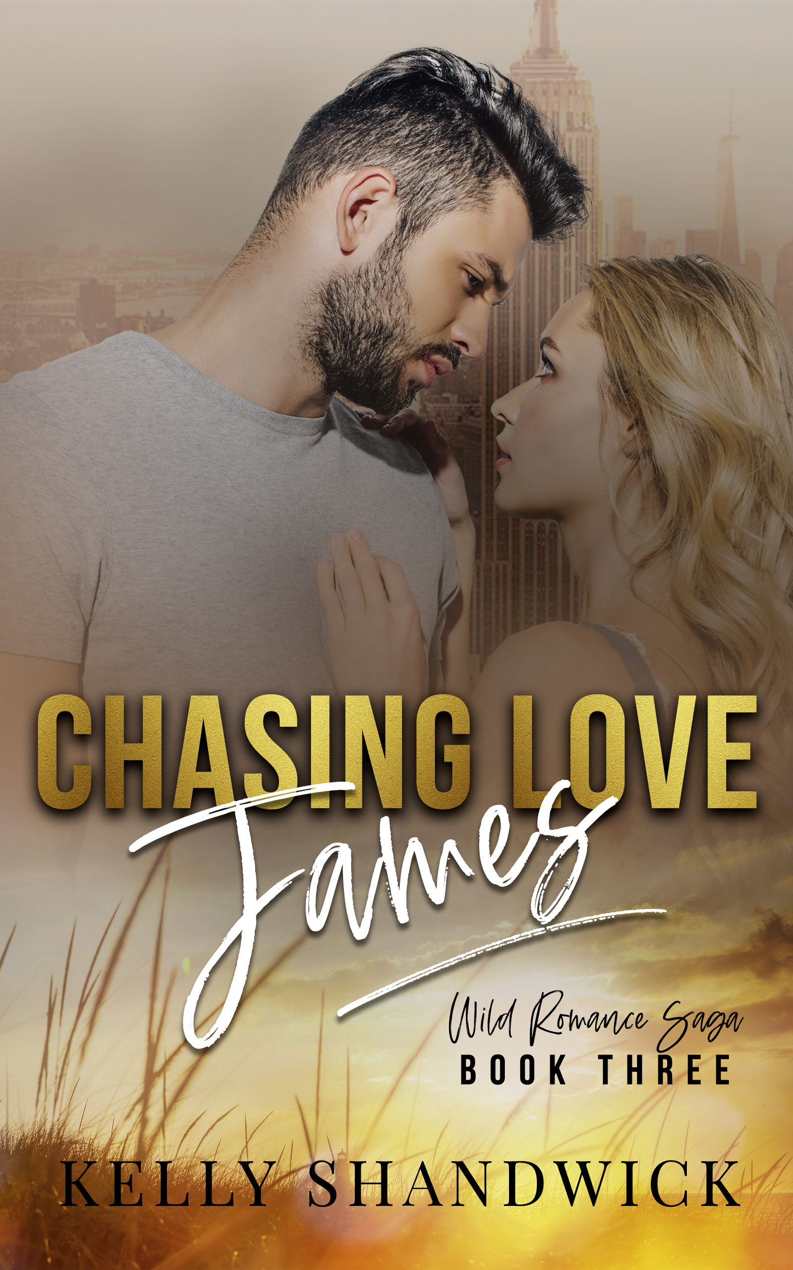 Wild Romance Saga book cover 2