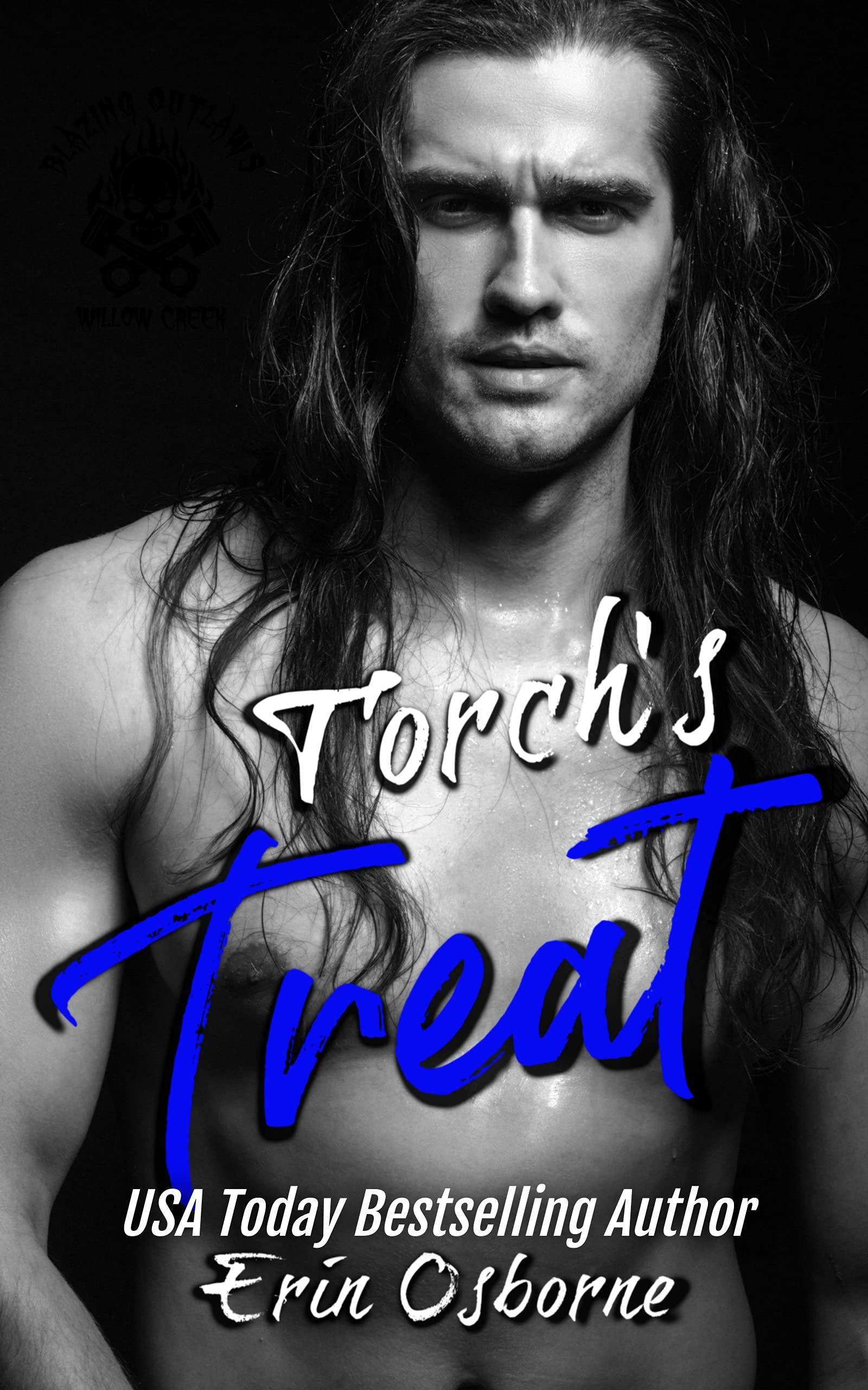 Torch's Treat book cover