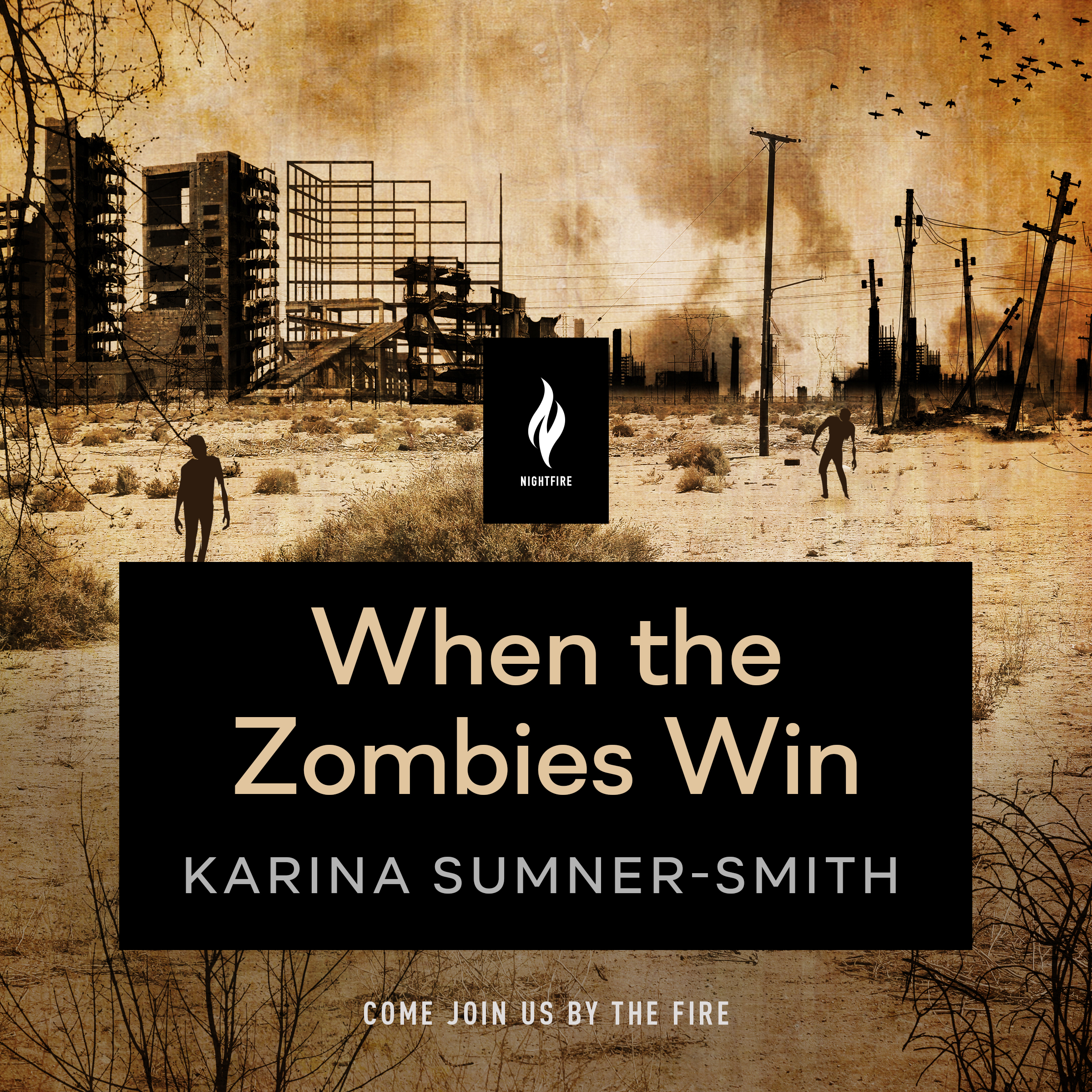 When the Zombies Win book cover