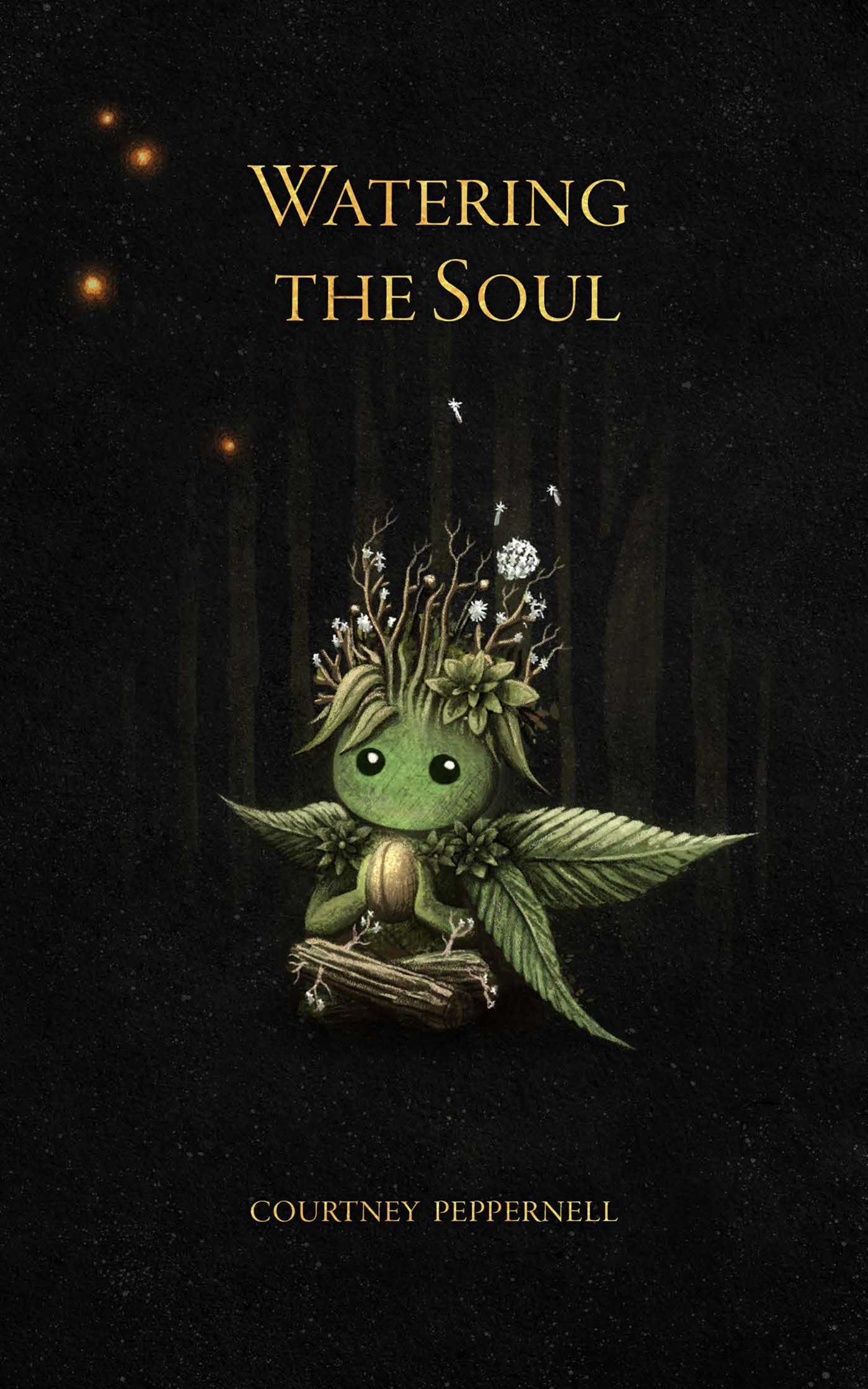 Watering the Soul book cover
