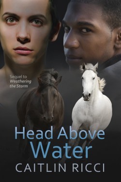 Robbie & Sam book cover 2