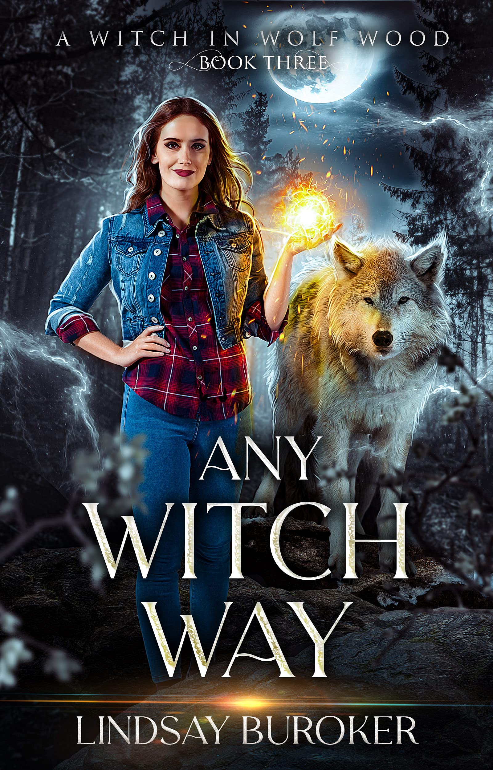 A Witch in Wolf Wood book cover 3
