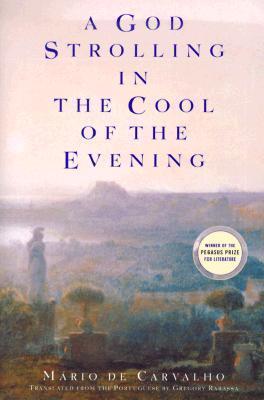 A God Strolling in the Cool of the Evening book cover
