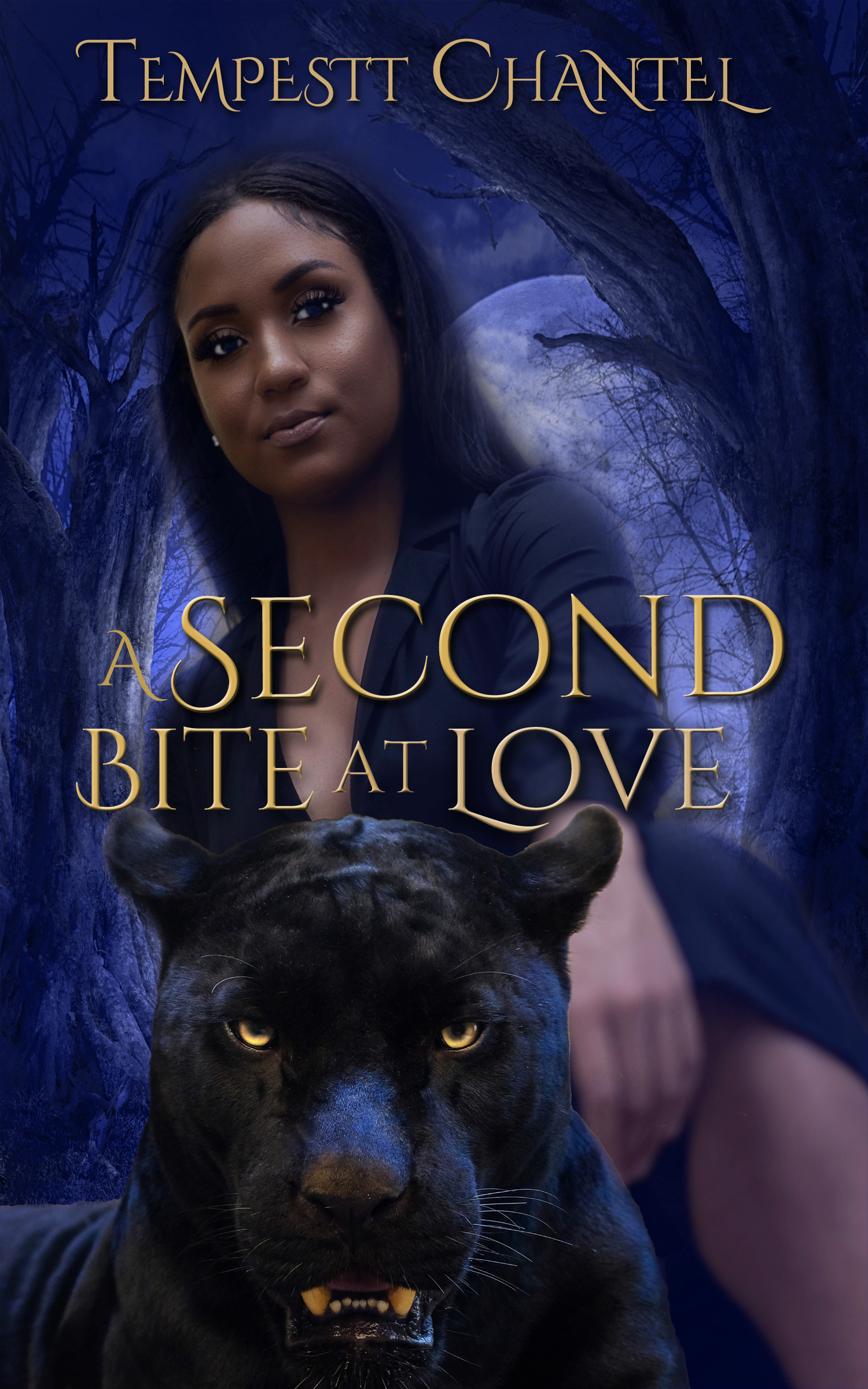 Unconventional Love Chronicles book cover 1