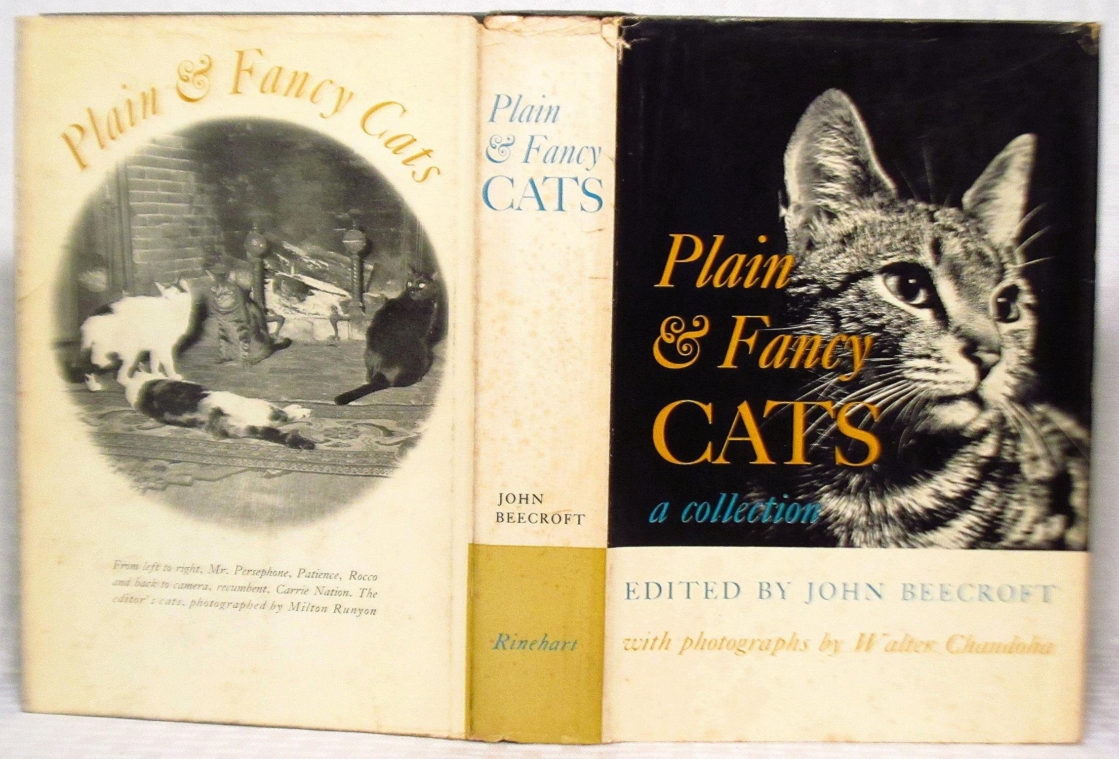 Plain and Fancy Cats book cover