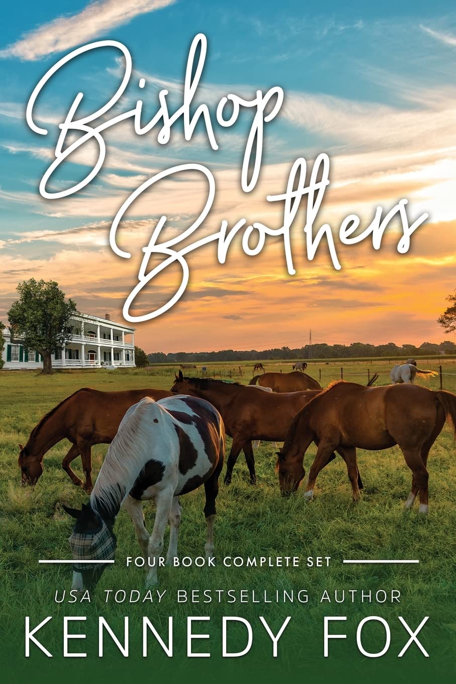 Bishop Brothers Series book cover