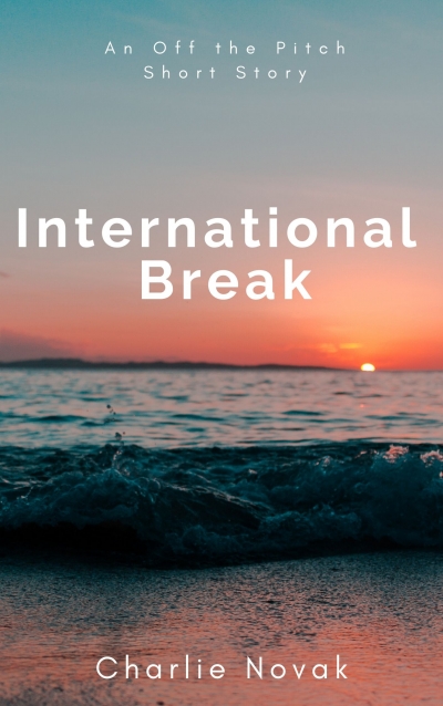 International Break book cover