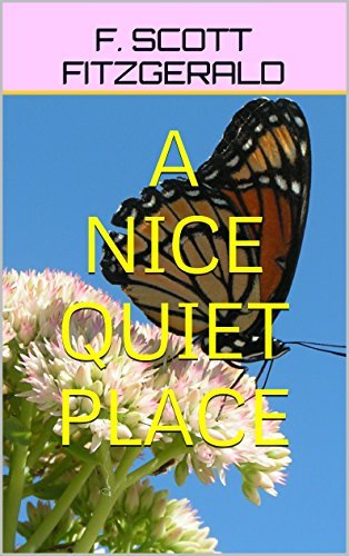 A Nice Quiet Place book cover