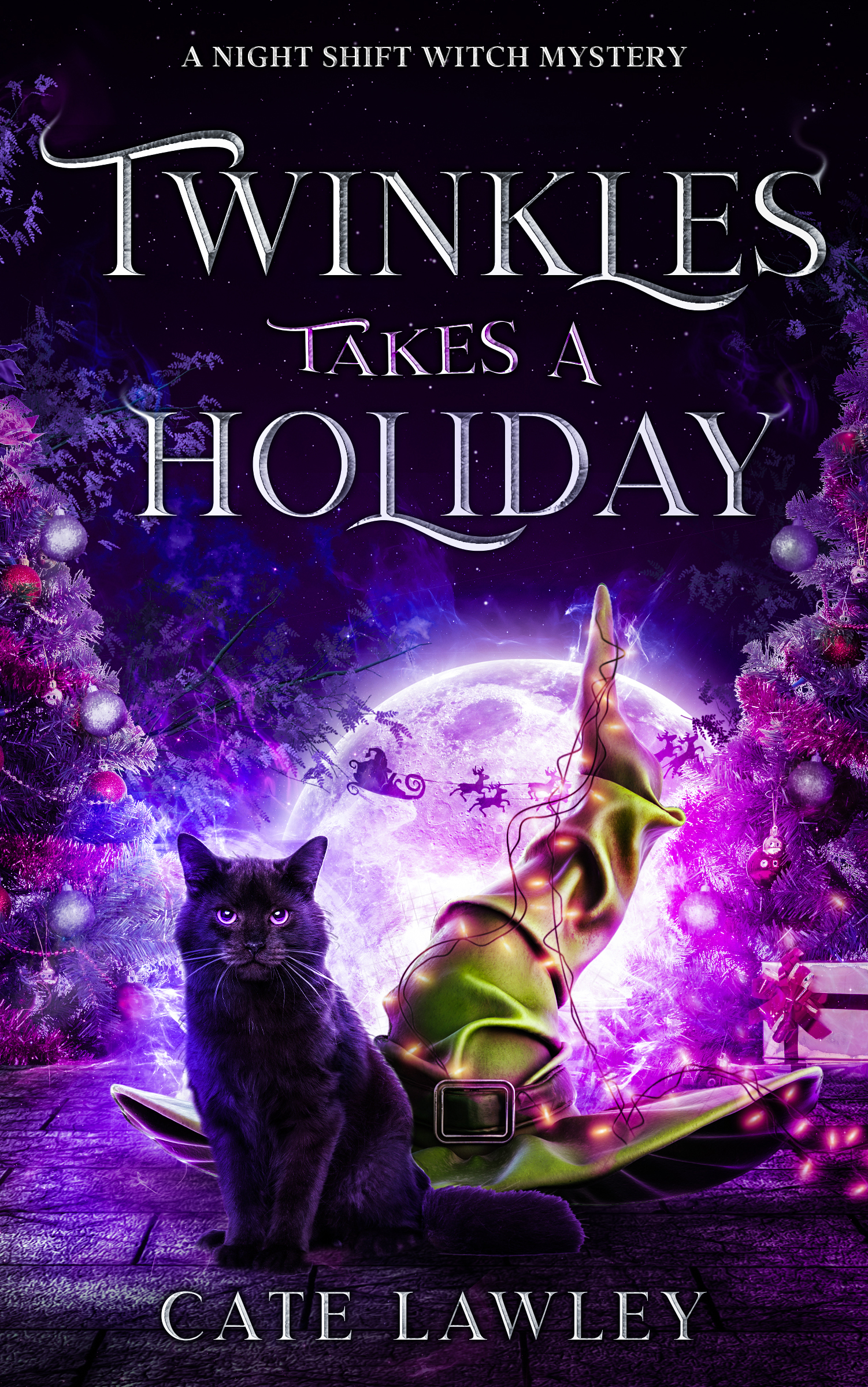 Twinkles Takes a Holiday book cover