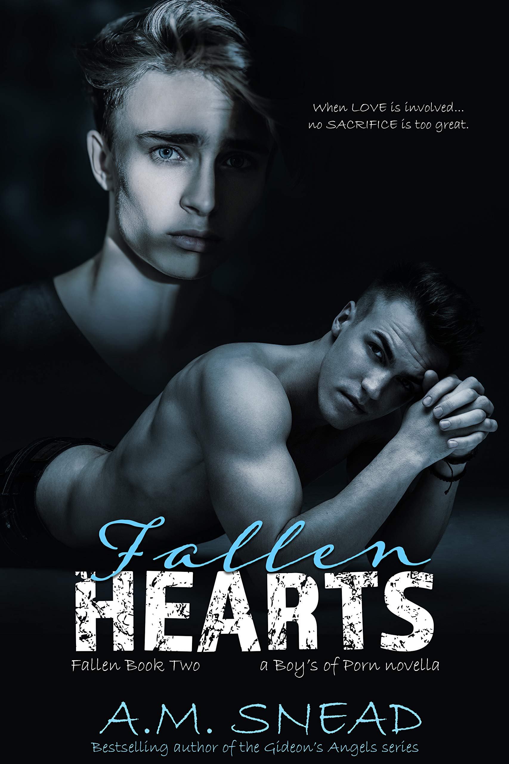 Fallen book cover 2