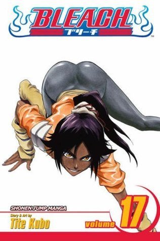 Bleach, Vol. 17 book cover