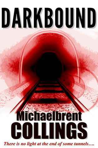 Darkbound book cover