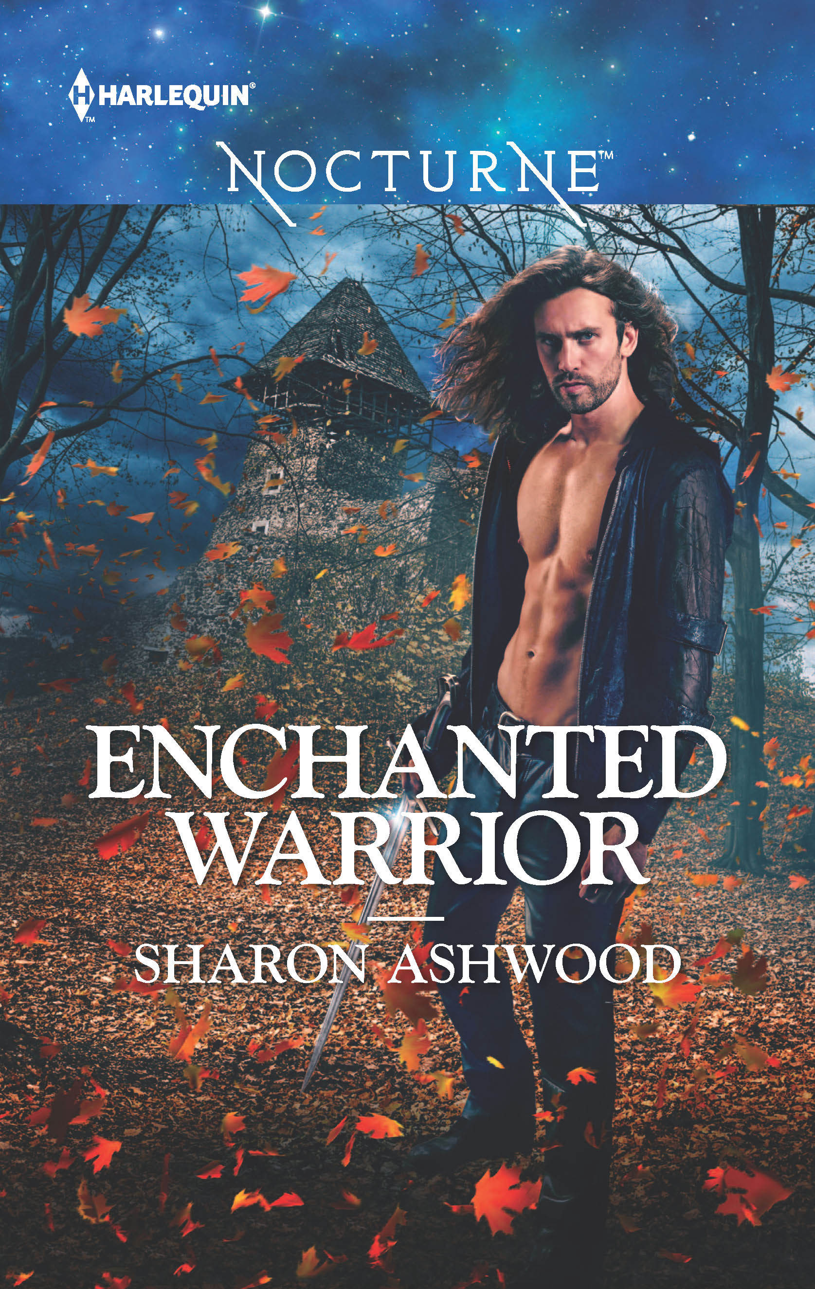 Camelot Reborn book cover 1