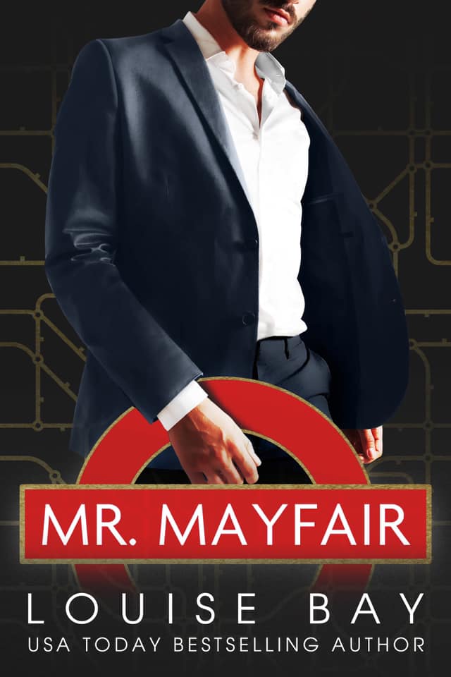 Mister book cover 1