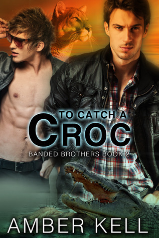 Banded Brothers book cover 2