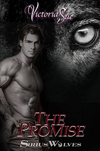 The Promise book cover