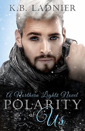 Polarity of Us book cover