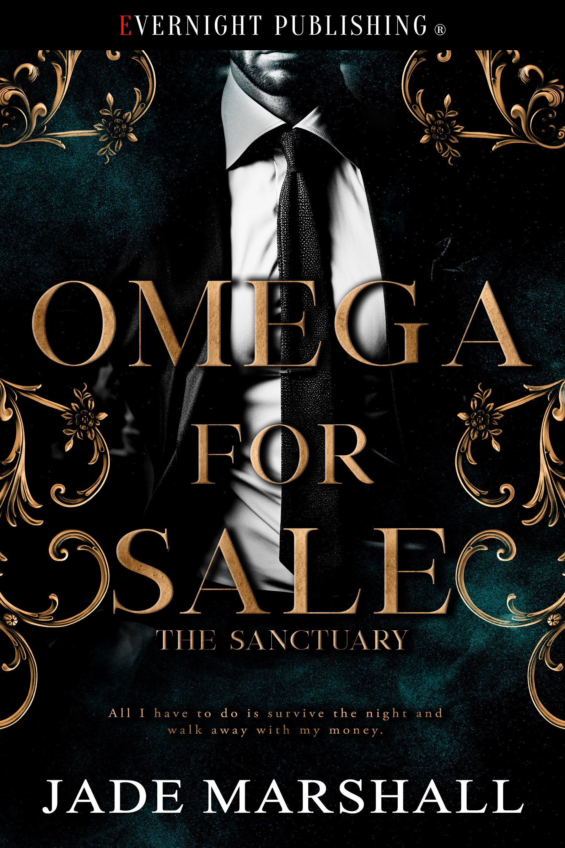 The Sanctuary book cover 1