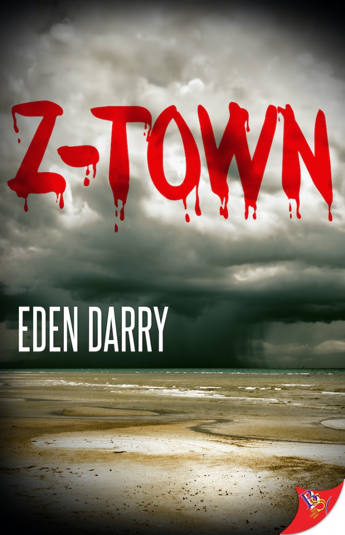 Z-Town book cover