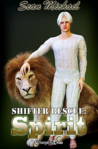 Spirit book cover