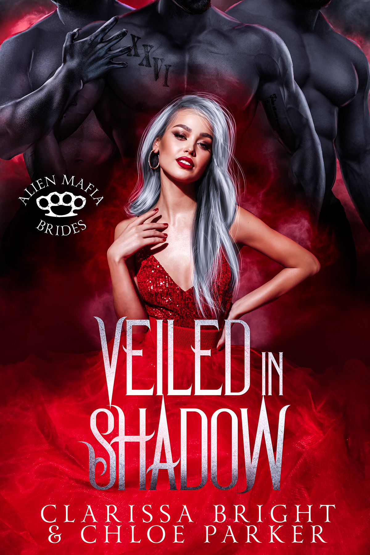 Veiled in Shadow book cover