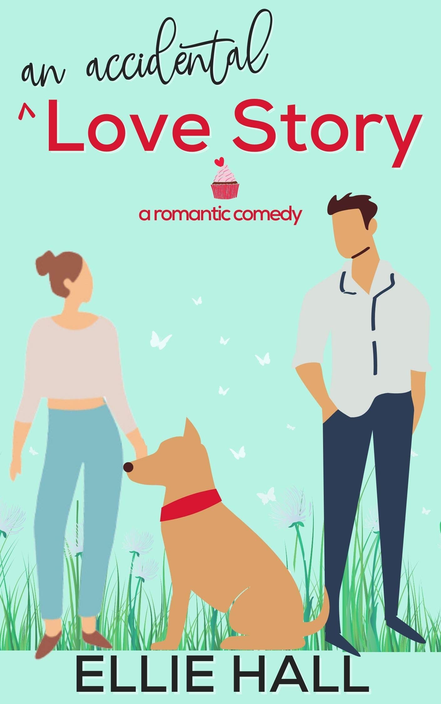 An Accidental Love Story book cover