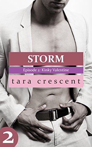 Storm book cover 2