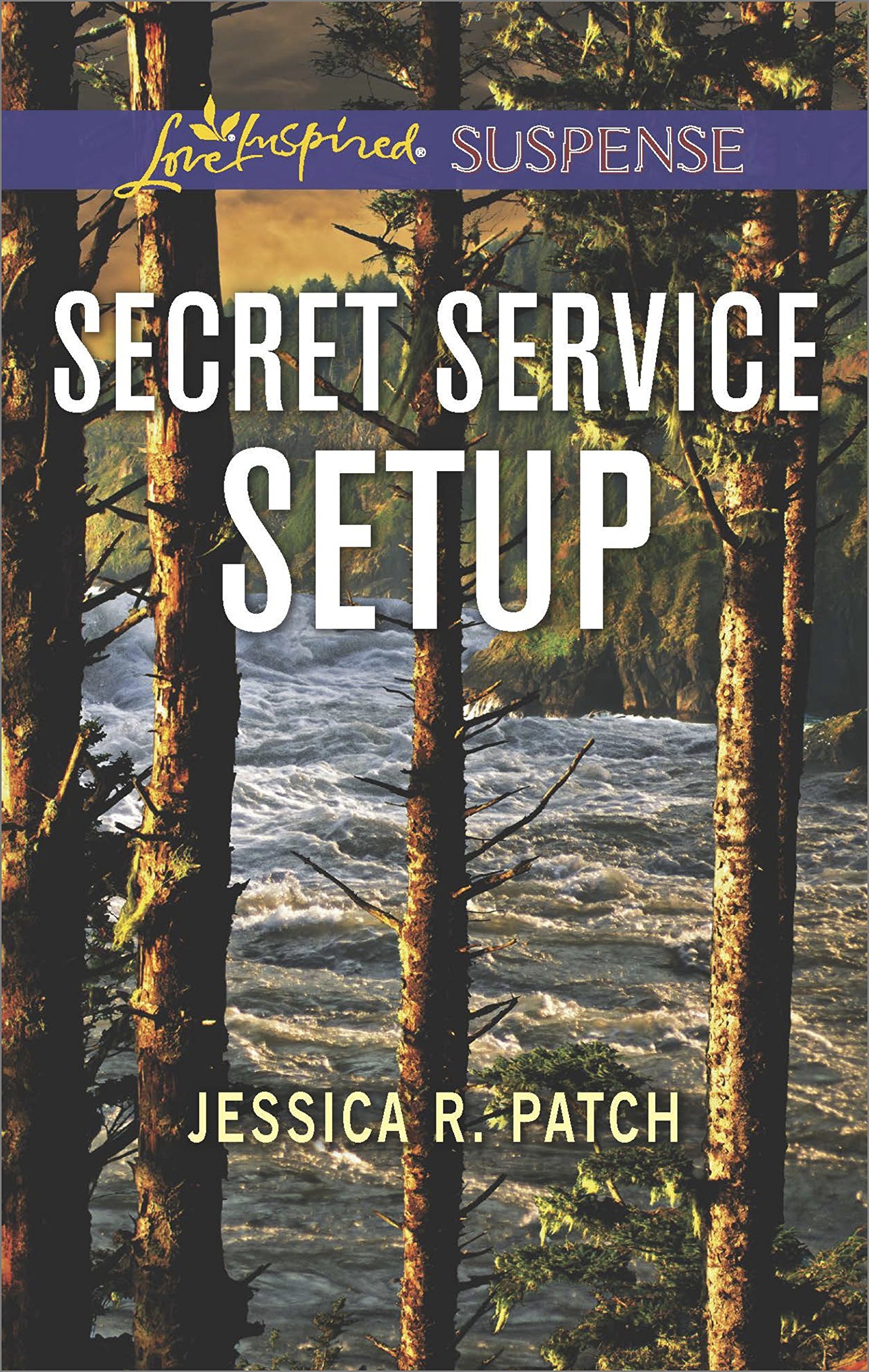 Security Specialists book cover 2
