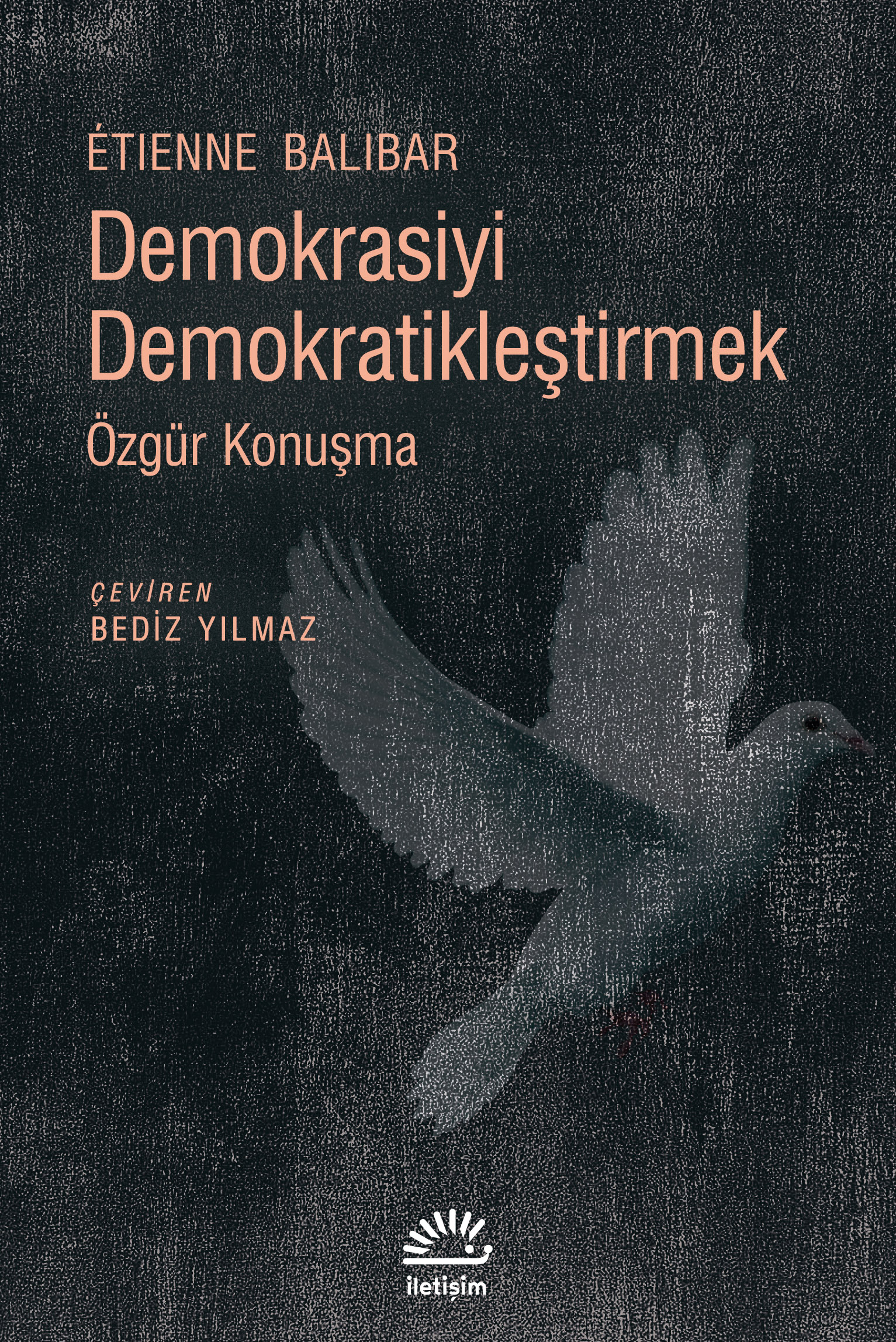 Demokrasiyi Demokratikleştirmek book cover