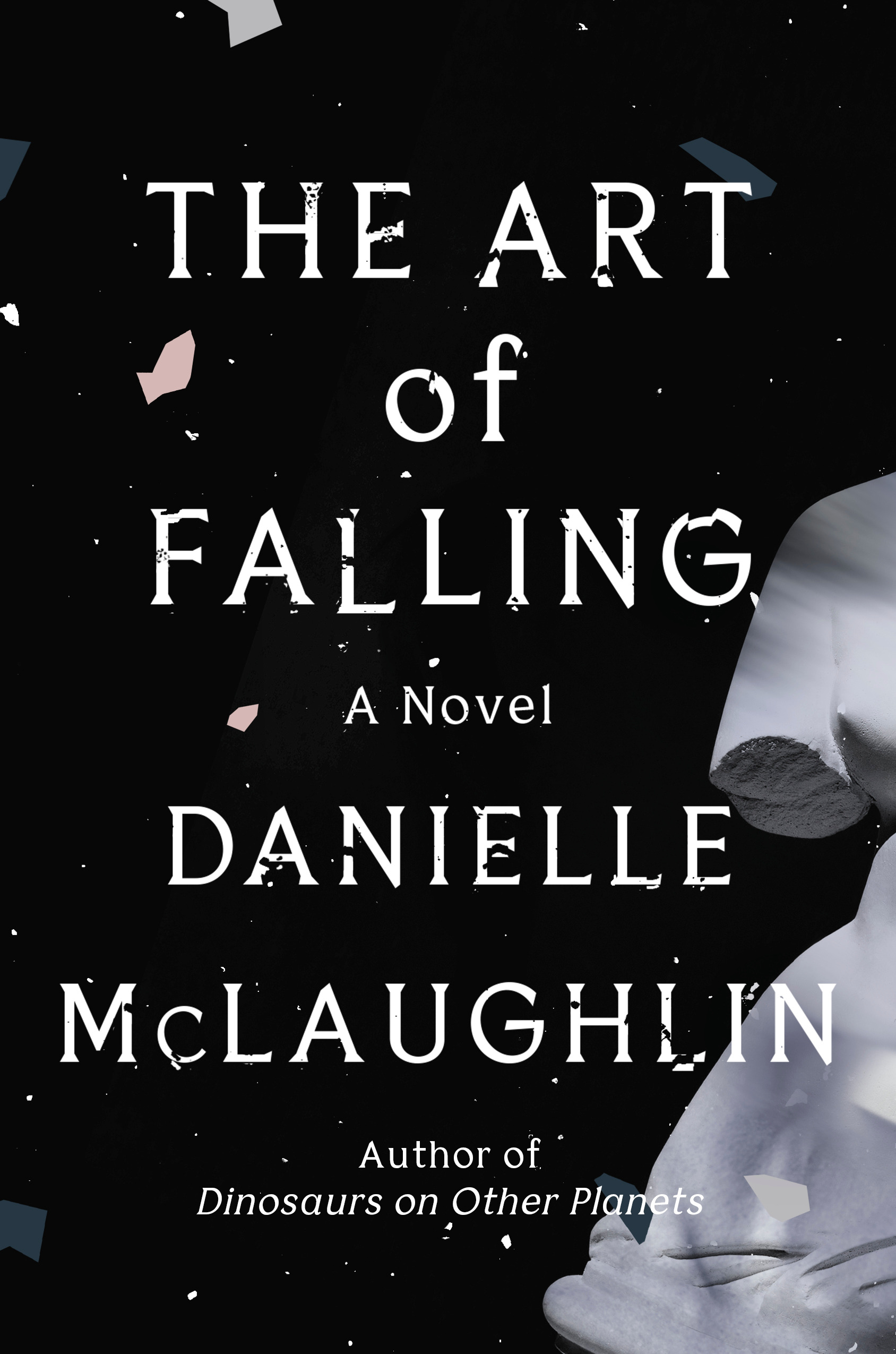 The Art of Falling book cover