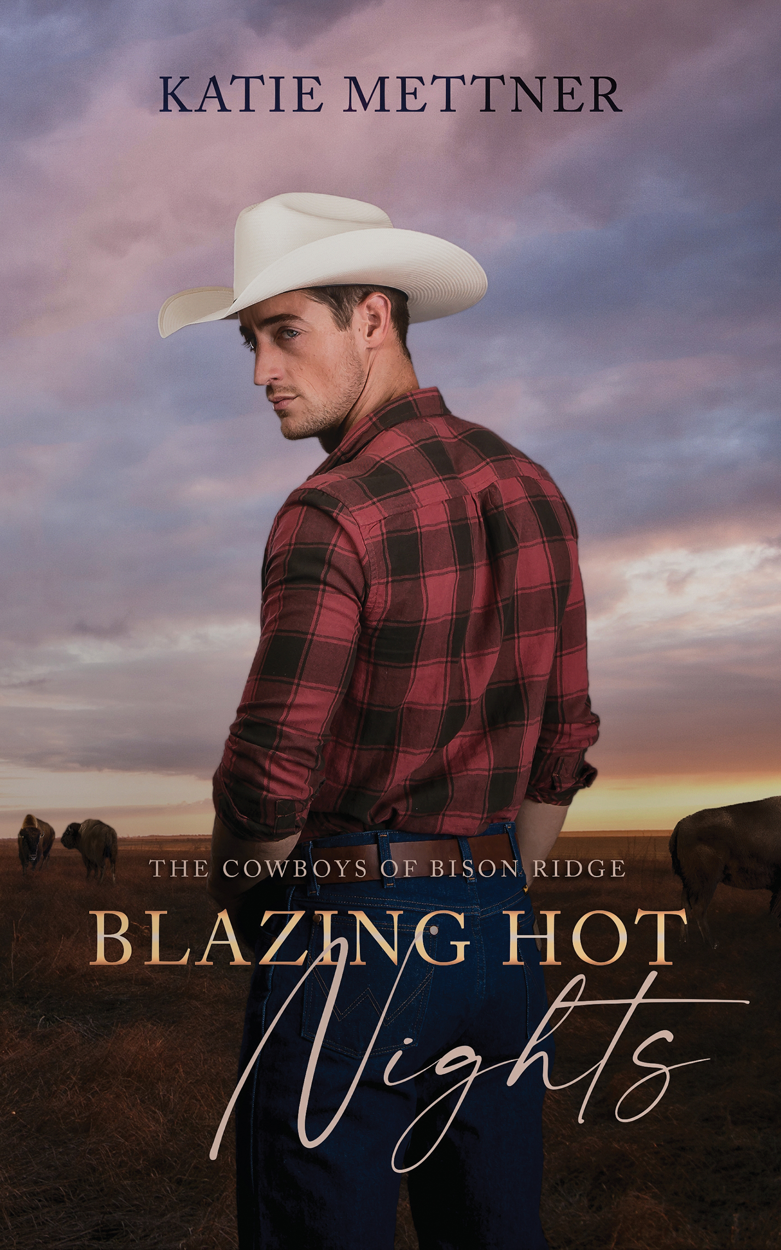 The Cowboys of Bison Ridge book cover 1