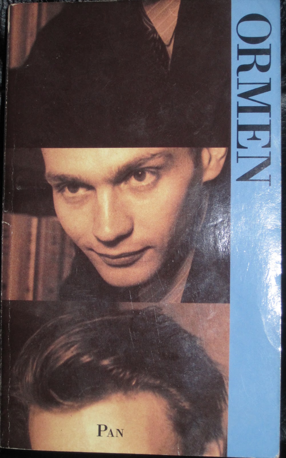 The Snake book cover