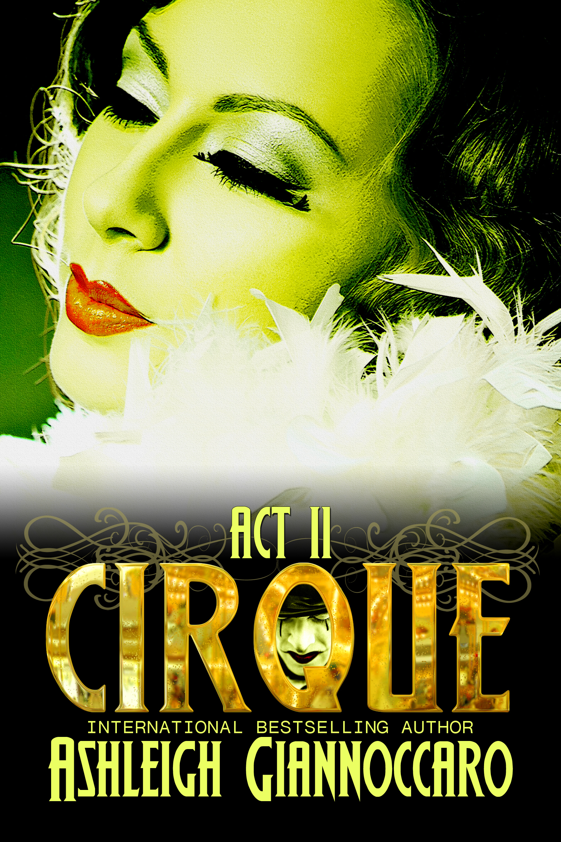 Cirque book cover 2