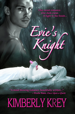 The Knight book cover 1