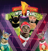 Meower Rangers book cover