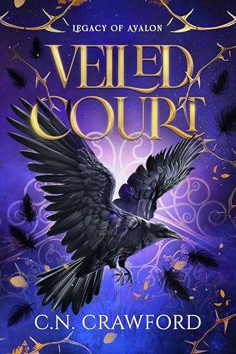 Veiled Court book cover