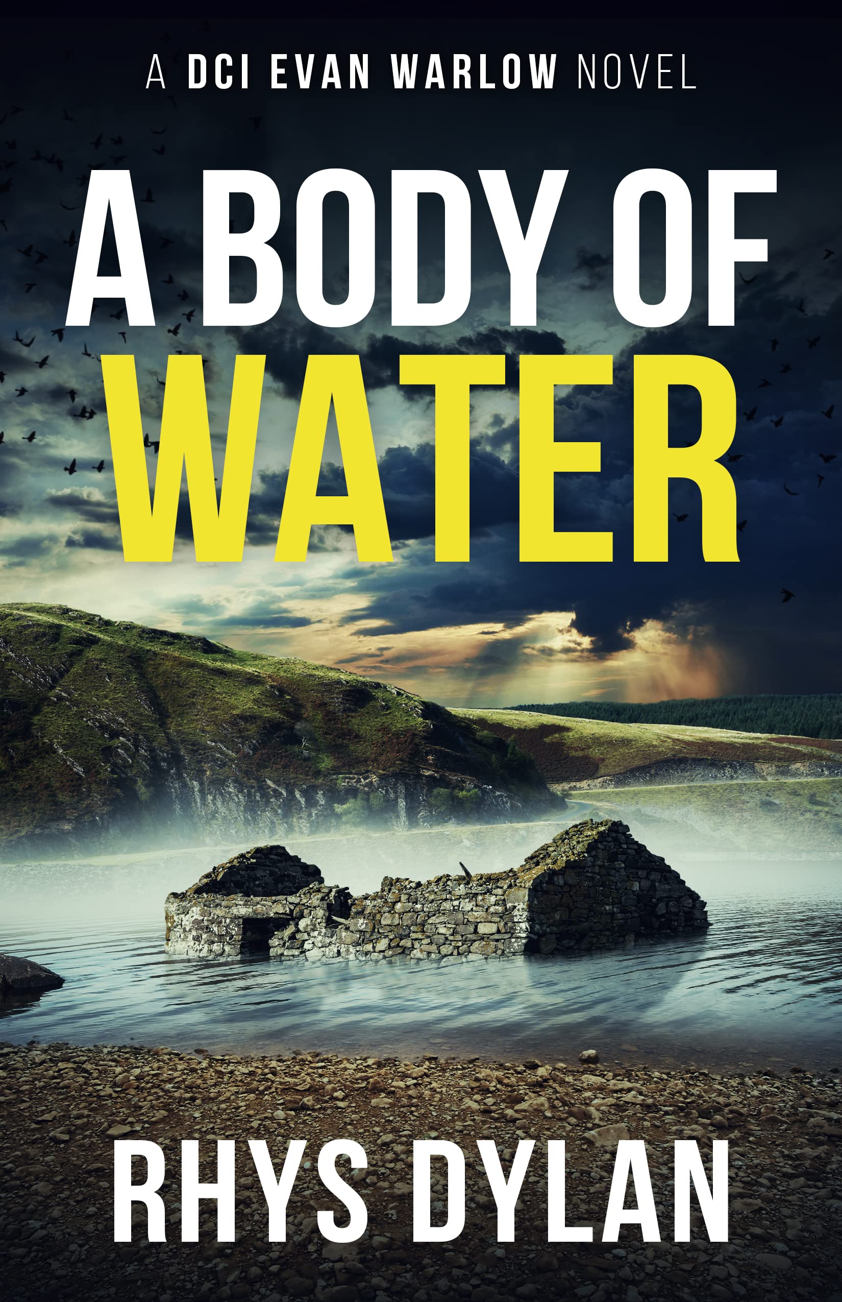 A Body of Water book cover